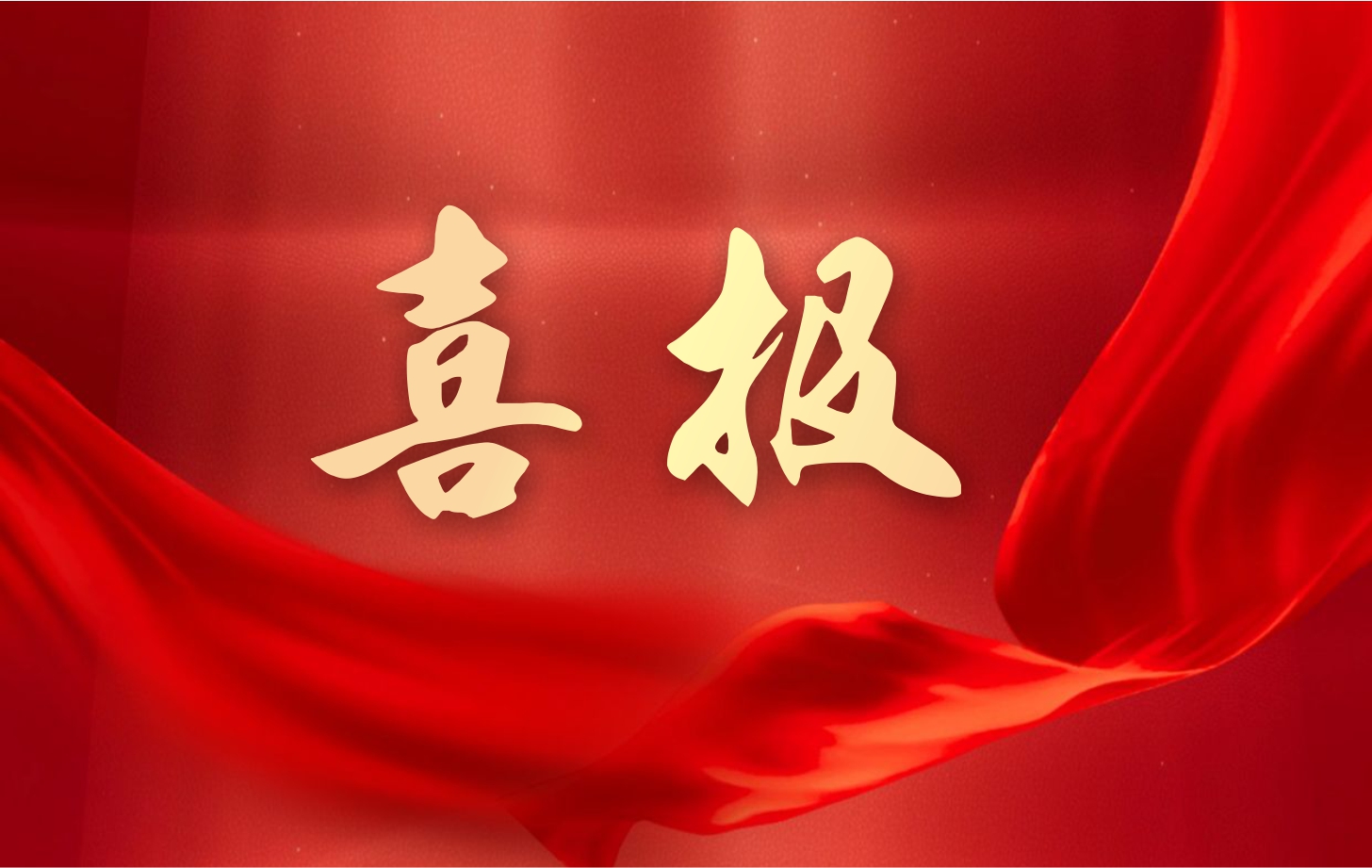 營收凈利雙增長！依頓電子2025年一季度經營業(yè)績續(xù)寫高質量發(fā)展華章